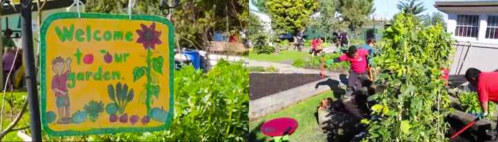 school gardens coll