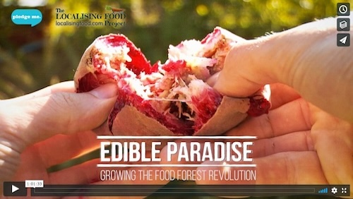EDIBLE PARADISE GROWING THE FOOD FOREST REVOLUTION