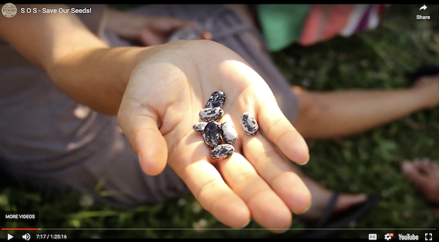 SOS Save Our Seeds Documentary Trailer